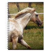 アピー ノートブック (正面)