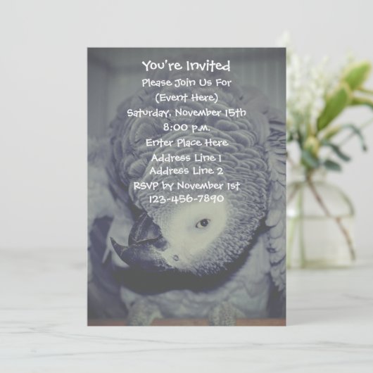 アフおもしろいリカのオウムパーティー 招待状 (スタンド正面)