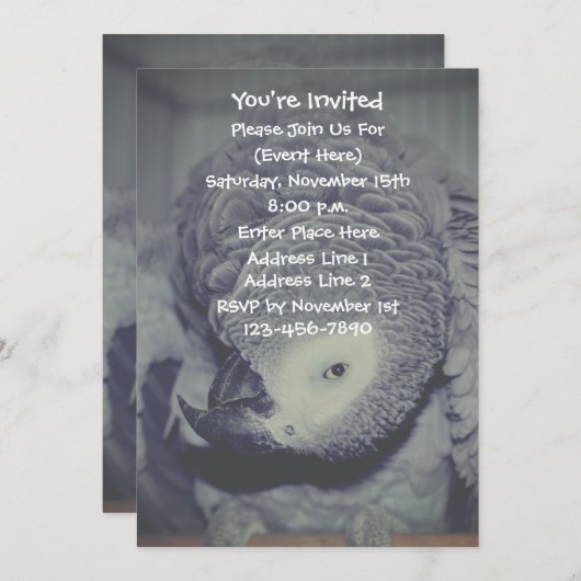 アフおもしろいリカのオウムパーティー 招待状 (正面/裏面)