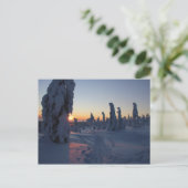 アフィシェクシェ・ド・ソレイユ・シュル・ラ・フォレ・アン・ラポニー ポストカード (スタンド正面)