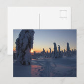 アフィシェクシェ・ド・ソレイユ・シュル・ラ・フォレ・アン・ラポニー ポストカード (正面/裏面)