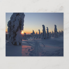 アフィシェクシェ・ド・ソレイユ・シュル・ラ・フォレ・アン・ラポニー ポストカード