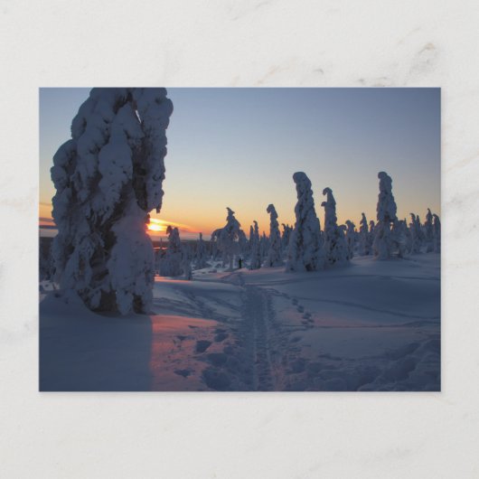 アフィシェクシェ・ド・ソレイユ・シュル・ラ・フォレ・アン・ラポニー ポストカード (正面)