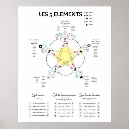 アフィッシュ5エレメンズメデシネチノワーズ ポスター (正面)