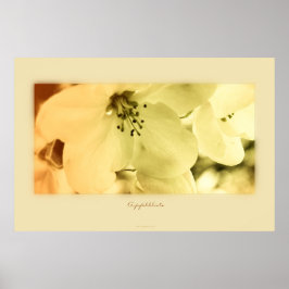 アフェルブリュテ ポスター