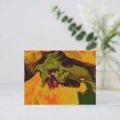 アフェルブリュテ ポストカード (スタンド正面)