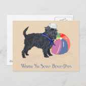 アフェンピナーアットザビーチ ポストカード (正面/裏面)