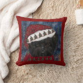 アフェンピナー クッション (ブランケット)