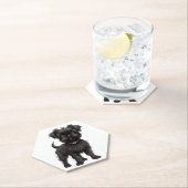 アフェンピナー ペーパーコースター (インサイチュ)