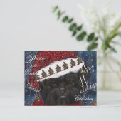 アフェンピナー ポストカード (スタンド正面)