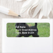 アフェンピナー ラベル (インサイチュ)