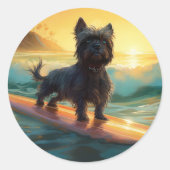 アフェンピンシェビーチ絵画サーフィン ラウンドシール (正面)