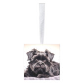 アフェンピンシェルドッグツーフォトクリスマスホリデー キューブオーナメント (右)