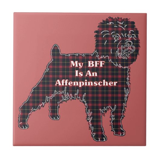 アフェンピンシェBFF タイル (正面)