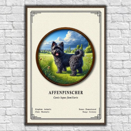 アフェンピンシャー動物学シリーズ ポスター