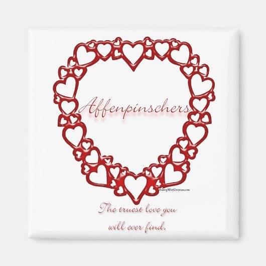 アフェンピンシャー真愛 マグネット (正面)