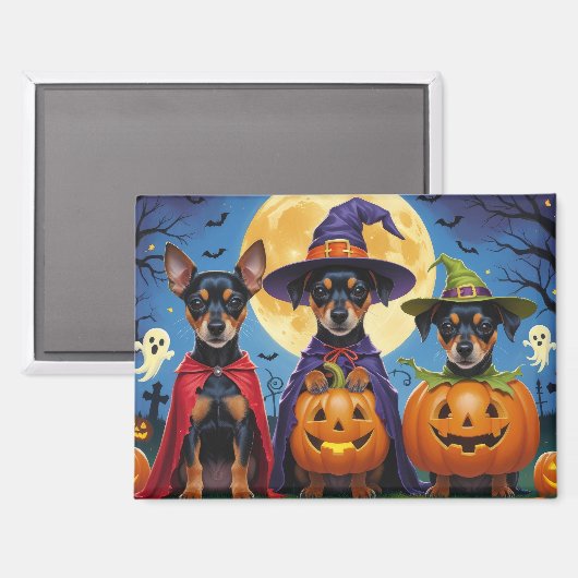 アフェンピンシャー かぼちゃ ハロウィン 冗談 マグネット (正面/裏面)