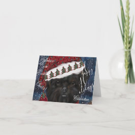 アフェンピンシャー カード