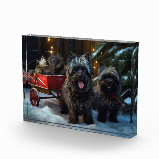 アフェンピンスワイスリー乗りクリスマスデコール フォトブロック (右)