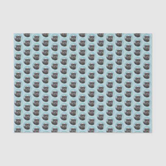 アフェンピ絵画ンシャーの – かわいいオリジナルドッグアート 薄葉紙 (正面)