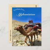 アフガニスタンのヘラートでラクダの子供たち ポストカード (正面/裏面)