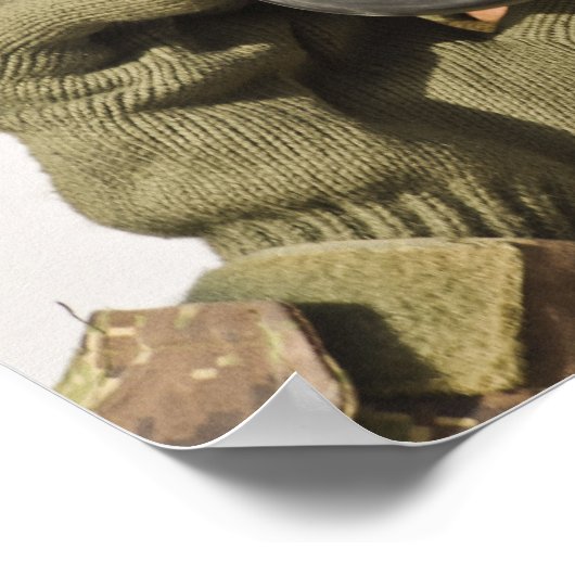 アフガニスタンの兵士が地平線を走査する ポスター (角)