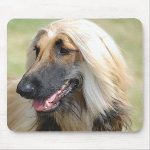 アフガニスタン人のHoundPuppy犬 マウスパッド