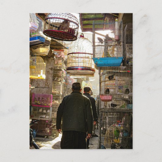 アフガニスタン、カブールのバードマーケット ポストカード (正面)