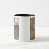 アフガニスタン マグカップ (中央)