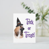 アフガントリック ポストカード (スタンド正面)