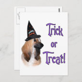 アフガントリック ポストカード (正面/裏面)