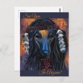 アフガンハウンド南西部 ポストカード (正面/裏面)