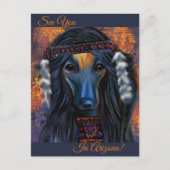 アフガンハウンド南西部 ポストカード (正面)