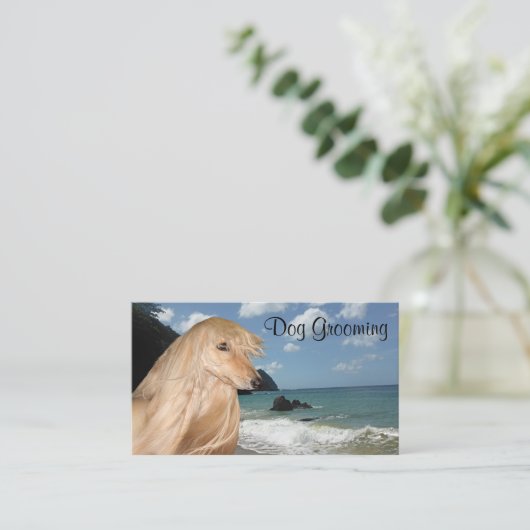 アフガンハウンド犬のグルーミング 名刺 (スタンド正面)