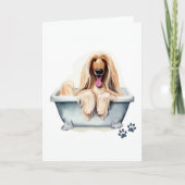 アフガンハウンド犬の折り返し挨拶 カード (正面)