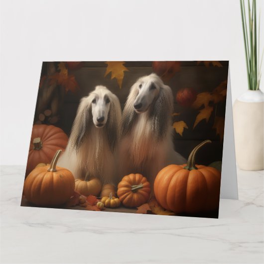 アフガンハウンド犬の秋の喜びカボチャ カード (正面)