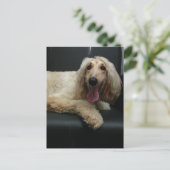 アフガンハウンド犬はがき ポストカード (スタンド正面)