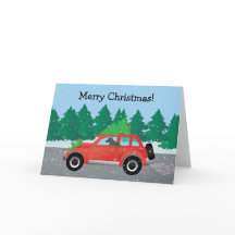 アフガンハウンド犬 – クリスマスツリーを上に車