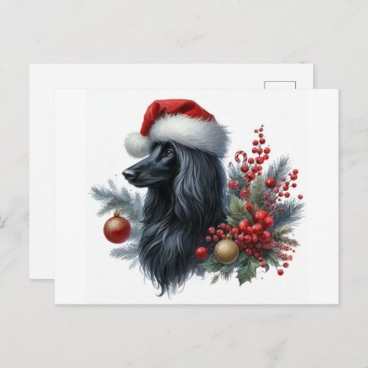 アフガンハウンド葉書 シーズンポストカード (正面/裏面)