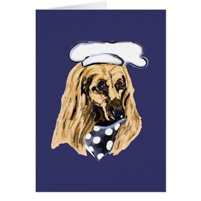 アフガンハウンド (正面)