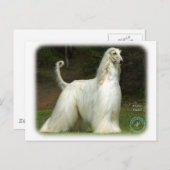 アフガンハウンド9J32D-21 ポストカード (正面/裏面)