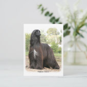 アフガンハウンド9Y151D-112 ポストカード (スタンド正面)