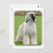 アフガンハウンド9Y247D-010 ポストカード (正面/裏面)