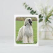 アフガンハウンド9Y247D-010 ポストカード (スタンド正面)