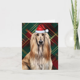 アフガンハウンド クリスマス犬 赤いタータンチェック クリスマス