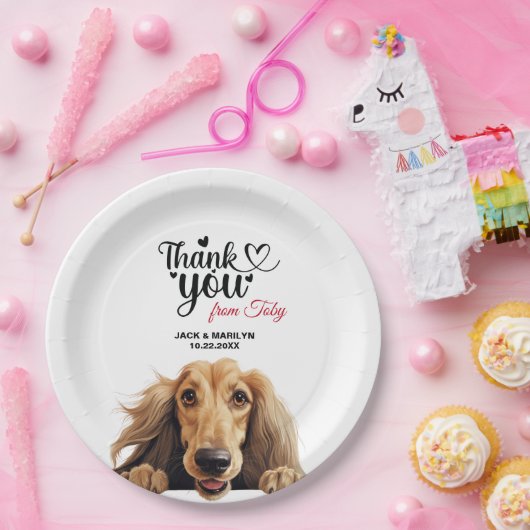 アフガンハウンド ペーパープレート (パーティー)