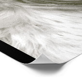 アフガンハウンド ポスター (角)