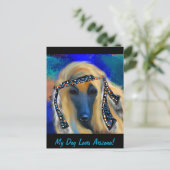 アフガンハウンド ポストカード (スタンド正面)