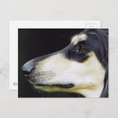 アフガンハウンド ポストカード (正面/裏面)