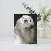 アフガンハウンド ポストカード (スタンド正面)